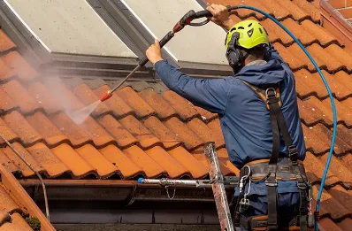 Démoussage et hydrofuge de toiture à Ratières